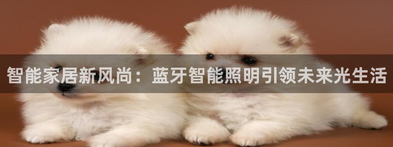 云顶网站网址