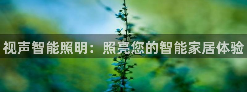 云顶国际平台游戏