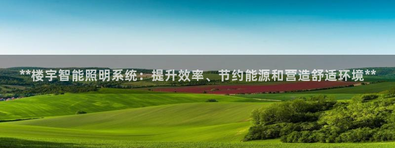 云顶国际服账号