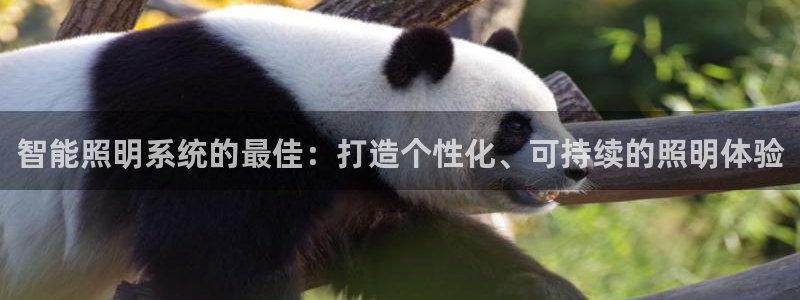 云顶国际中学