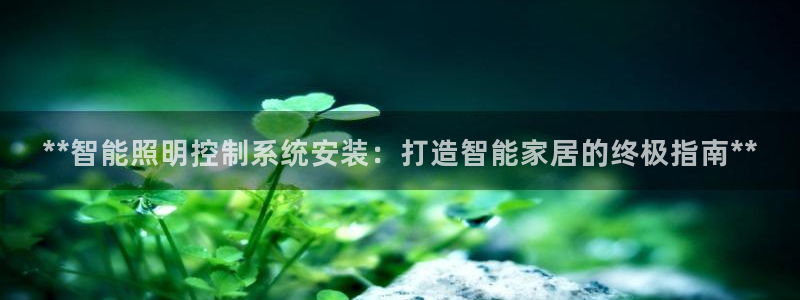 云顶集团董事长林东简历