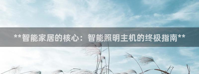 云顶游戏网站