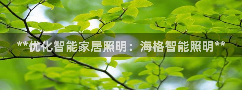 云顶集团中国分公司