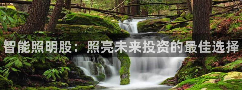 云顶国际平台网址多少