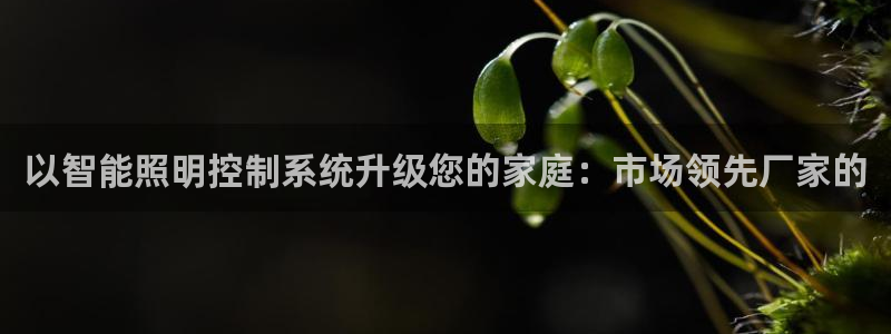 云顶集团app免费下载安装