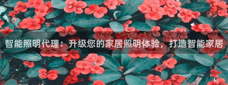 云顶国际怎么进不去了