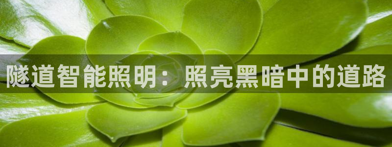 国际服端游云顶在哪下载