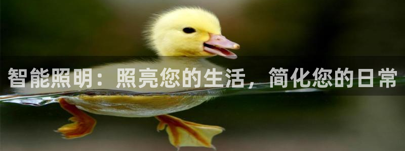 云顶国际商业广场a座101楼