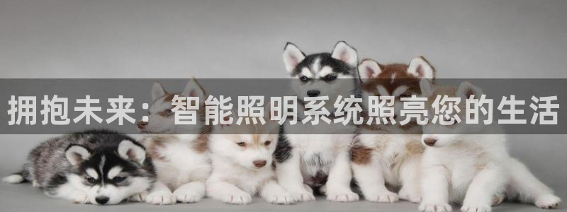 云顶集团3118app