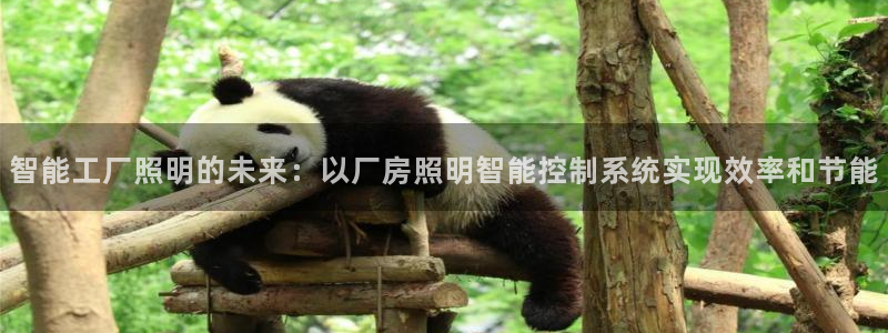 云顶国际电子游戏官网