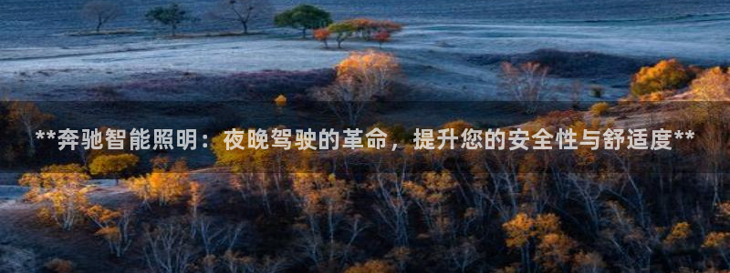 国际服端游云顶在哪下载