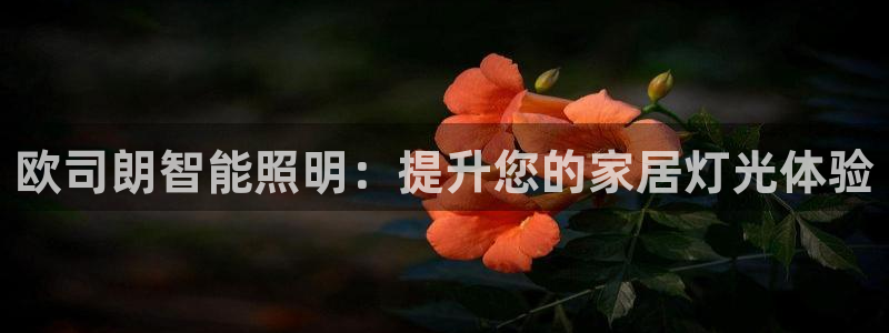 云顶国际商业广场a座101层