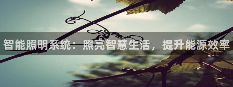 云顶国际服更新时间是多久