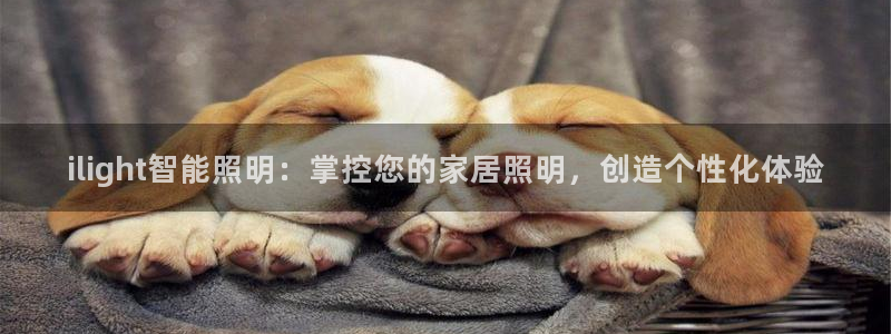 云顶国际培训中心官网