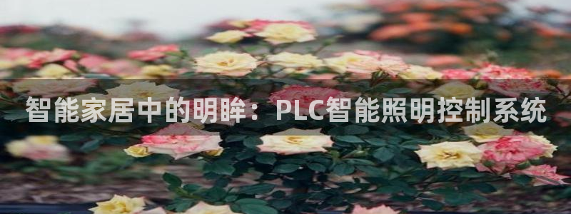 云顶国际是个什么网站