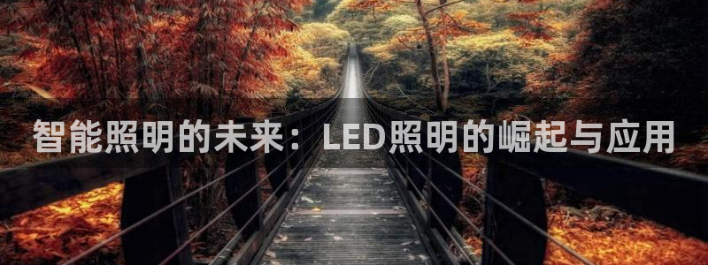 云顶国际麻将胡了多少张牌