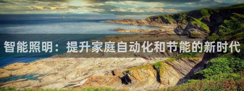 云顶国际服s11