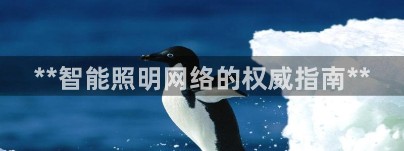 4008浏览器云顶下载