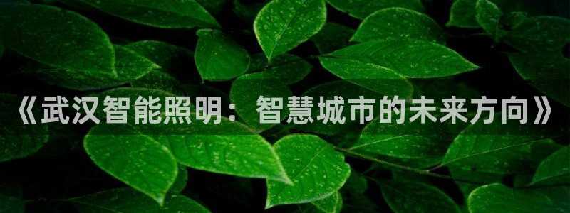 云顶集团app免费下载安装