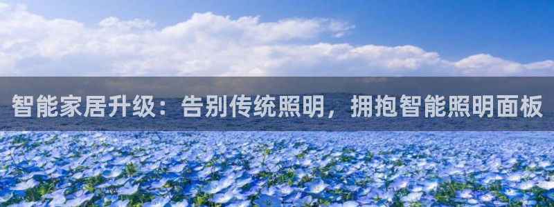 云顶国际服账号