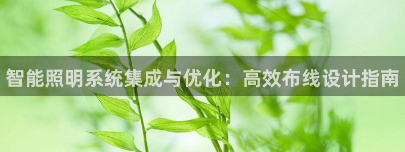 云顶国际在线购彩