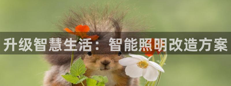 云顶网址攻略