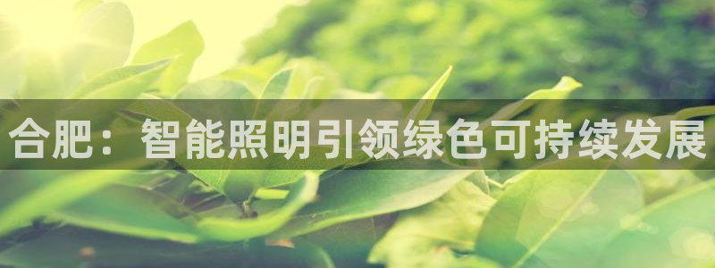 云顶集团林致华