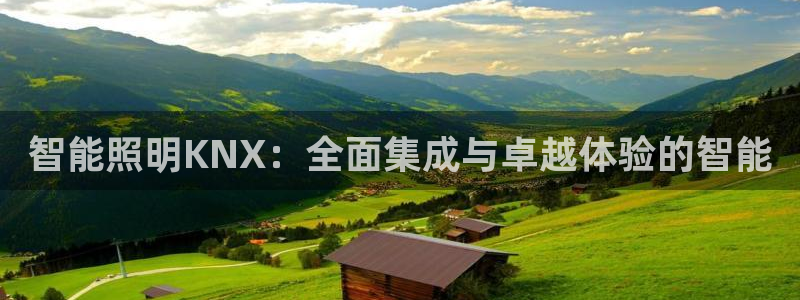 云顶集团 中国排名第几