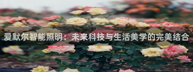 云顶国际婚礼大酒店位于哪里