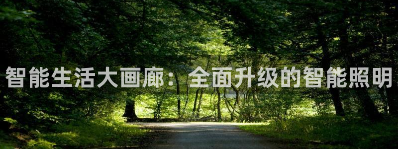 云顶国际app免费下载安卓：智能生活大画