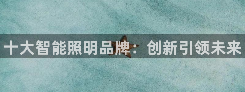 云顶国际app怎么样：十大智能照明品牌：