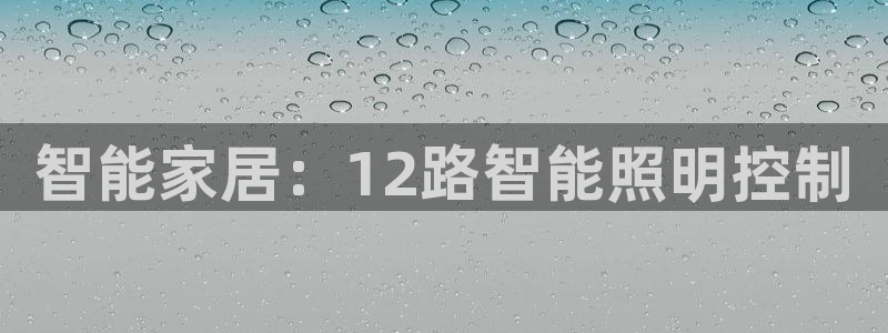 云顶国际黄钊华：智能家居：12路智能照明