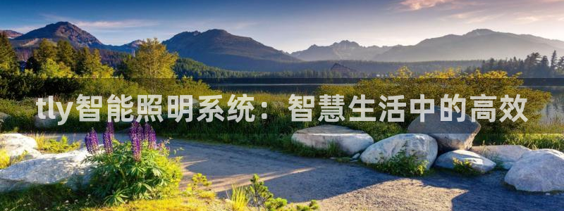 云顶国际培训中心学费
