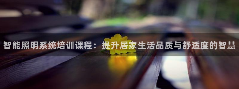云顶国际是什么公司