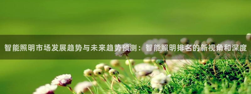 云顶国际服官网