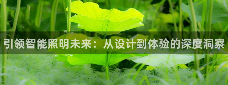 云顶国际取款多久到账啊