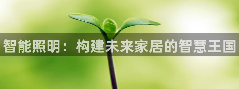 云顶国际的客服几点在线