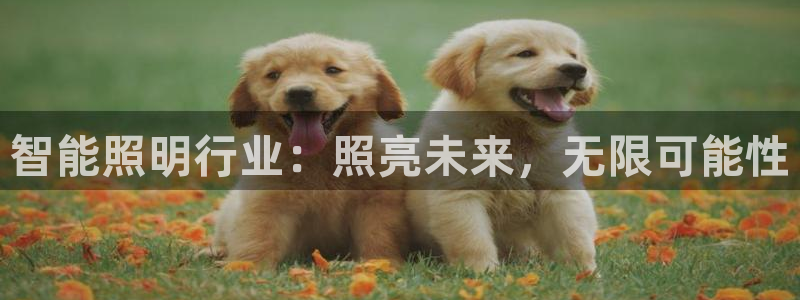 云顶国际公馆在哪：智能照明行业：照亮未来