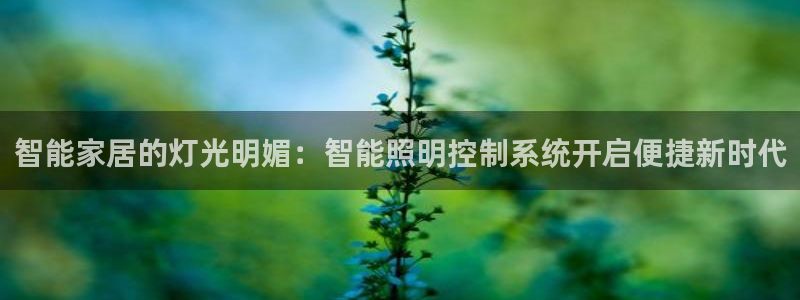 云顶国际公馆在哪个位置