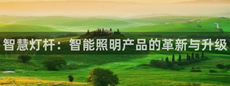 云顶平台的登录入口：智慧灯杆：智能照明产