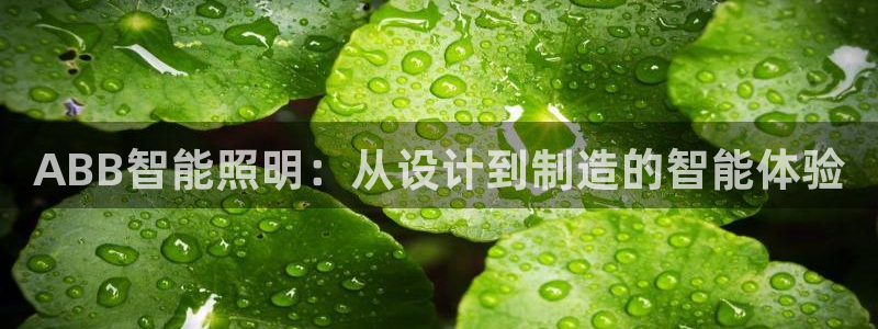 云顶国际老板是谁啊