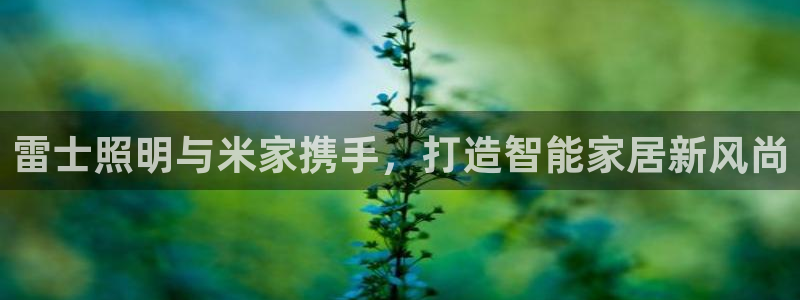 云顶国际提现不到账