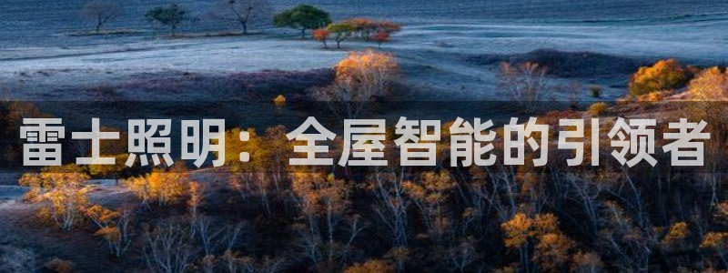 云顶国际集团发展有限公司：雷士照明：全屋