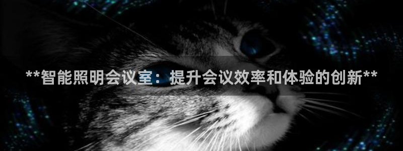 云顶国际ktv会所地址：**智能照明会议