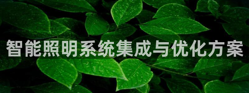 云顶集团老总个人资料