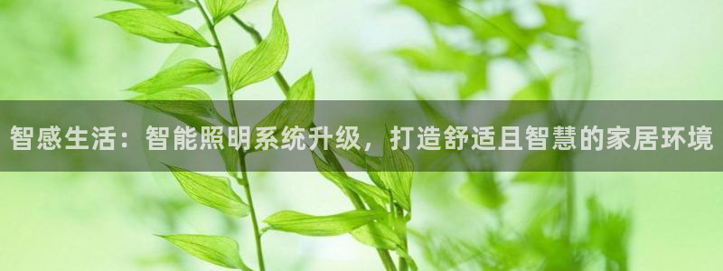 云顶国际小区：智感生活：智能照明系统升级